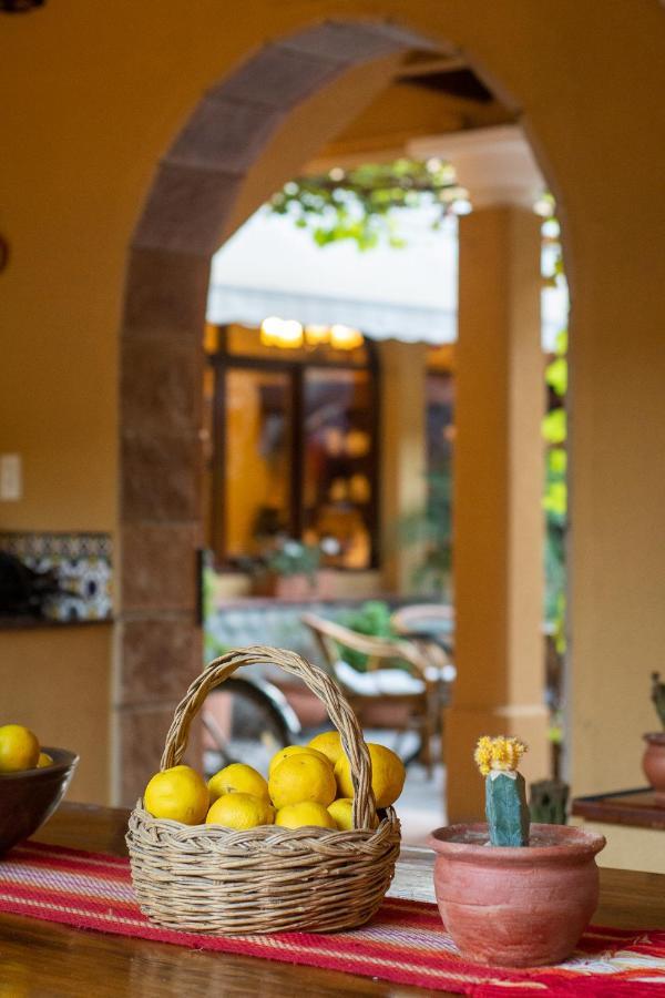 Villa Vicuna Cafayate Boutique Hotel Eksteriør billede